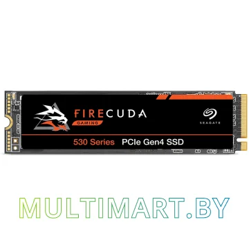 SSD диск Seagate FireCuda 530 1TB (ZP1000GM3A013)